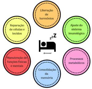 Reparação de células e tecidos, liberação de hormônios, ajuste do sistema imunológico, processos metabólicos, consolidação da memória, manutenção de funções físicas e mentais.